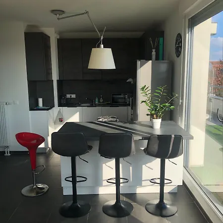 Appartement La Terrasse Straatsburg